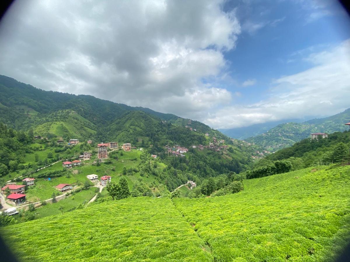 Afram Bungalov Çamlıhemşin Exterior foto